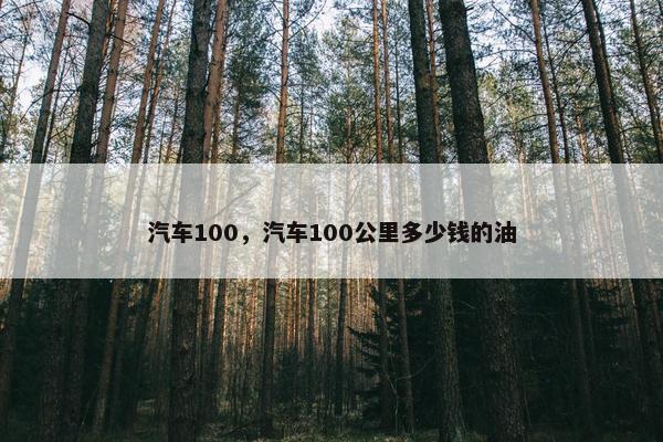汽车100，汽车100公里多少钱的油