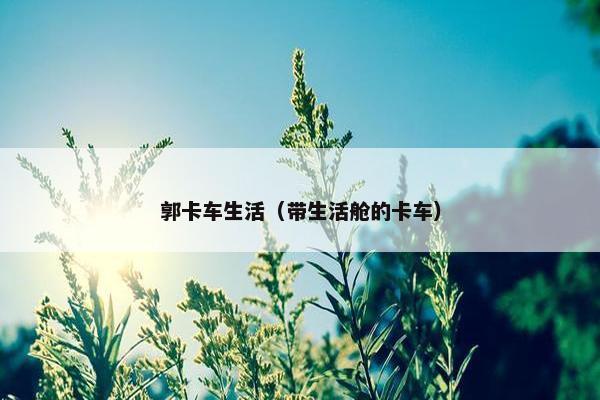 郭卡车生活（带生活舱的卡车）