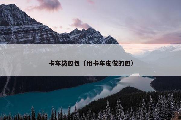 卡车袋包包（用卡车皮做的包）