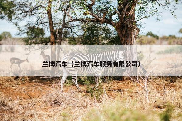 兰博汽车（兰博汽车服务有限公司）