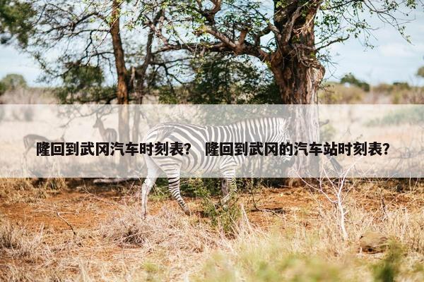 隆回到武冈汽车时刻表？ 隆回到武冈的汽车站时刻表？