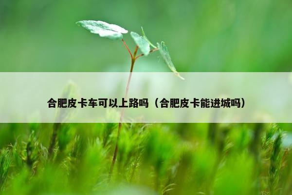 合肥皮卡车可以上路吗（合肥皮卡能进城吗）