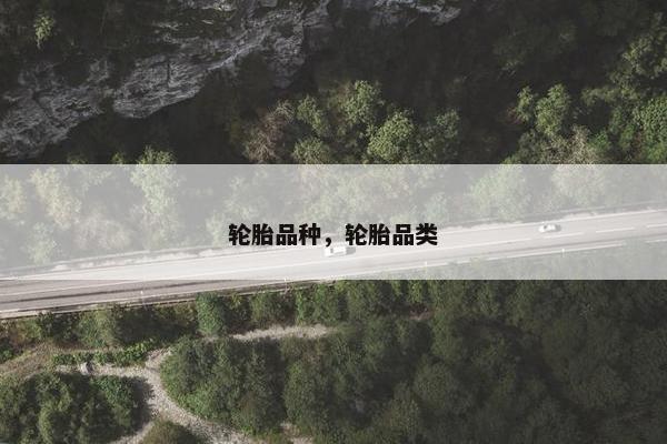 轮胎品种，轮胎品类