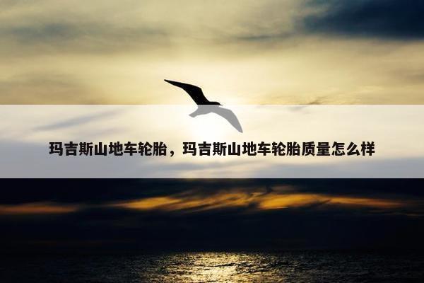 玛吉斯山地车轮胎，玛吉斯山地车轮胎质量怎么样