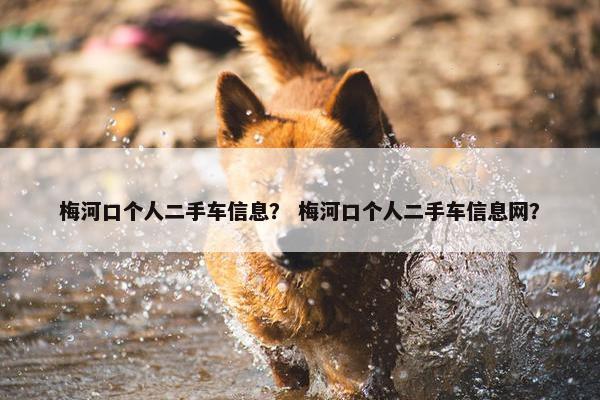 梅河口个人二手车信息？ 梅河口个人二手车信息网？