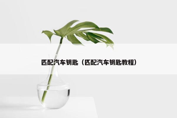 匹配汽车钥匙（匹配汽车钥匙教程）