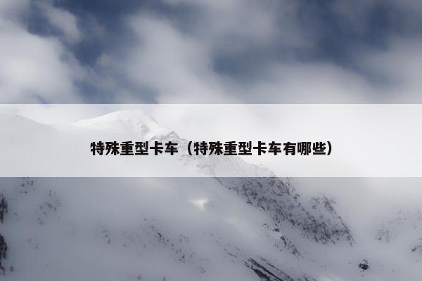 特殊重型卡车（特殊重型卡车有哪些）