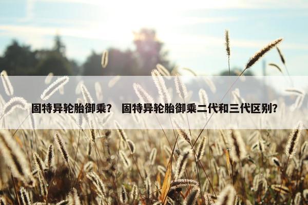 固特异轮胎御乘？ 固特异轮胎御乘二代和三代区别？