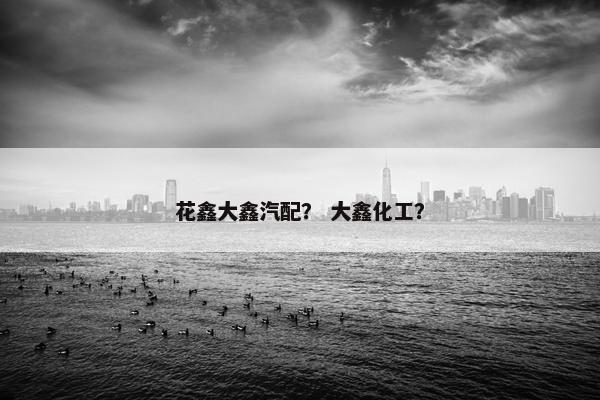 花鑫大鑫汽配？ 大鑫化工？