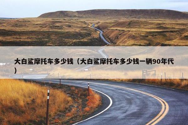 大白鲨摩托车多少钱（大白鲨摩托车多少钱一辆90年代）
