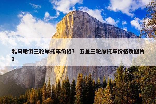 雅马哈倒三轮摩托车价格？ 五星三轮摩托车价格及图片？