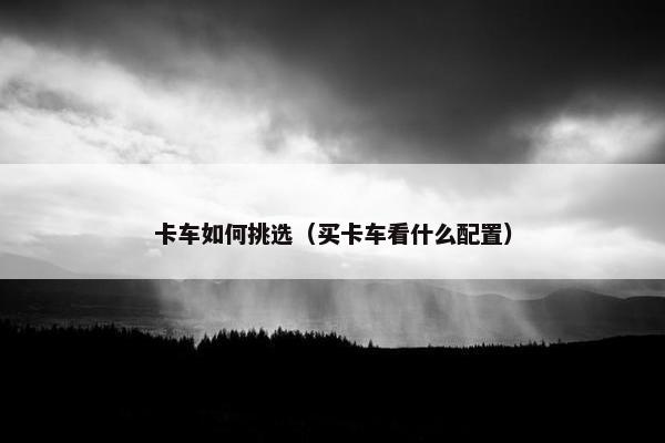 卡车如何挑选（买卡车看什么配置）