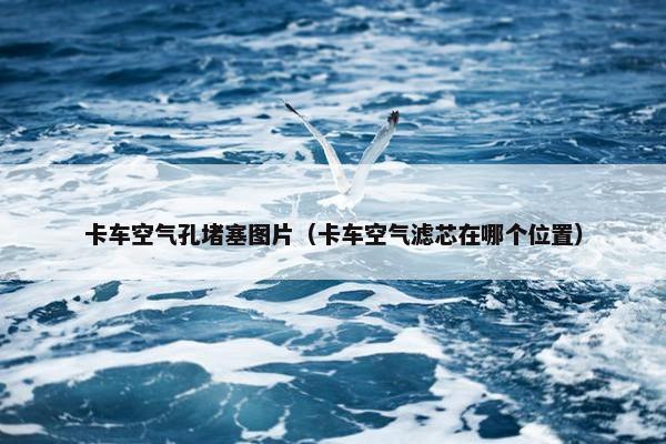 卡车空气孔堵塞图片（卡车空气滤芯在哪个位置）