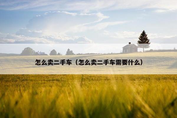 怎么卖二手车（怎么卖二手车需要什么）