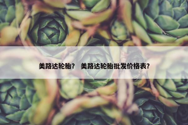 美路达轮胎？ 美路达轮胎批发价格表？