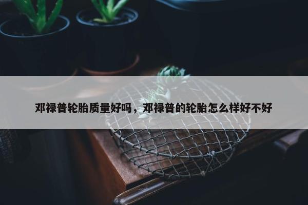 邓禄普轮胎质量好吗，邓禄普的轮胎怎么样好不好