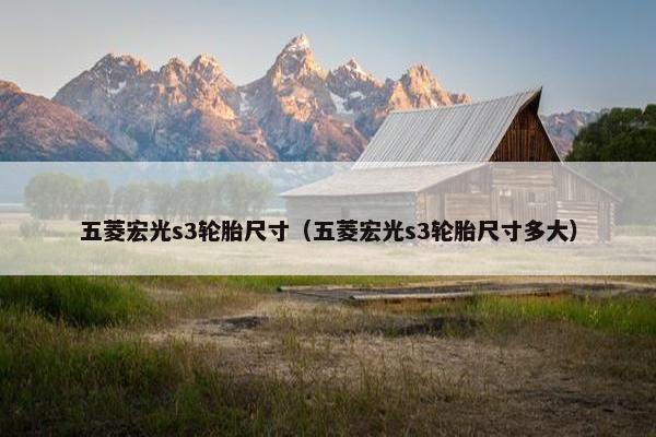 五菱宏光s3轮胎尺寸（五菱宏光s3轮胎尺寸多大）