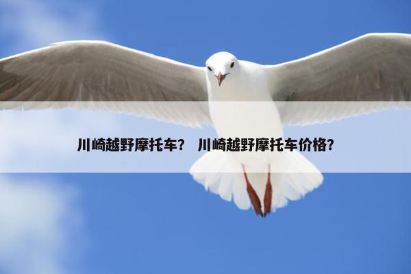 川崎越野摩托车？ 川崎越野摩托车价格？