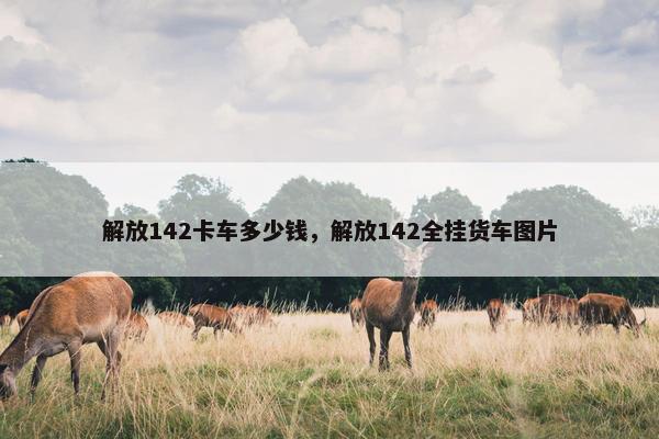 解放142卡车多少钱，解放142全挂货车图片