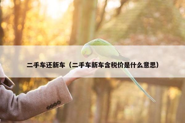 二手车还新车（二手车新车含税价是什么意思）