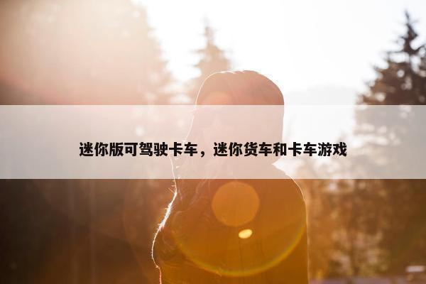 迷你版可驾驶卡车，迷你货车和卡车游戏