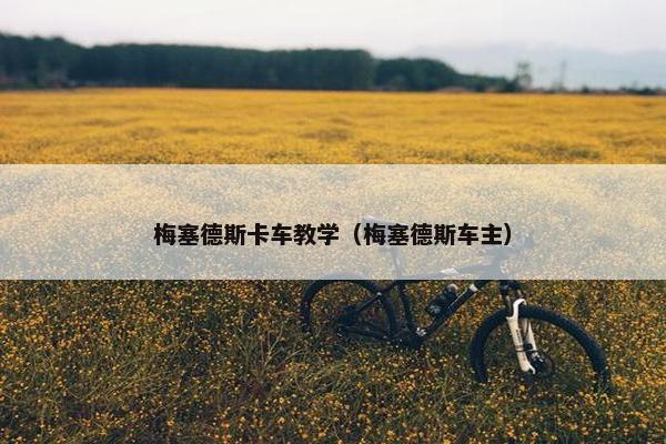 梅塞德斯卡车教学（梅塞德斯车主）