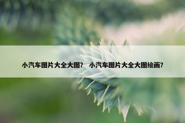 小汽车图片大全大图？ 小汽车图片大全大图绘画？