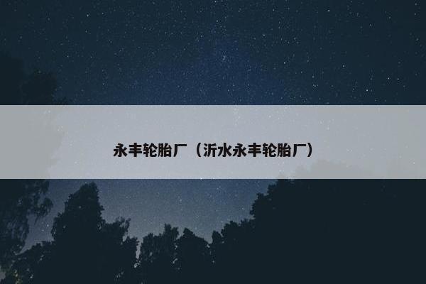 永丰轮胎厂（沂水永丰轮胎厂）