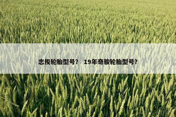 志俊轮胎型号？ 19年奇骏轮胎型号？