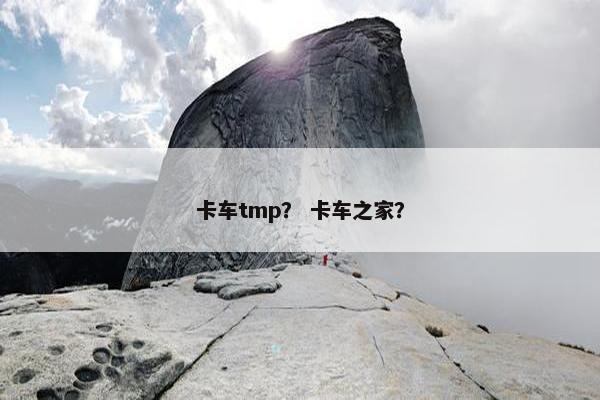 卡车tmp？ 卡车之家？