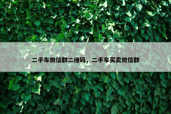 二手车微信群二维码，二手车买卖微信群