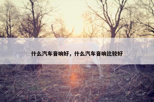 什么汽车音响好，什么汽车音响比较好