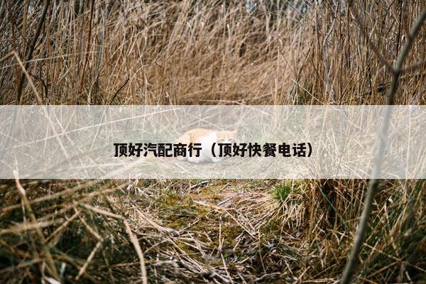 顶好汽配商行（顶好快餐电话）