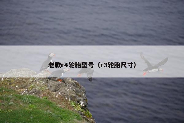 老款r4轮胎型号（r3轮胎尺寸）