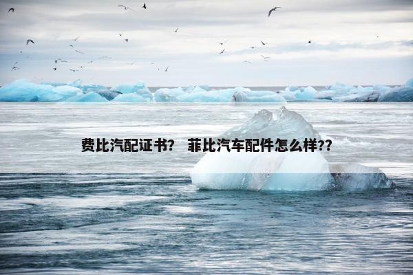费比汽配证书？ 菲比汽车配件怎么样?？