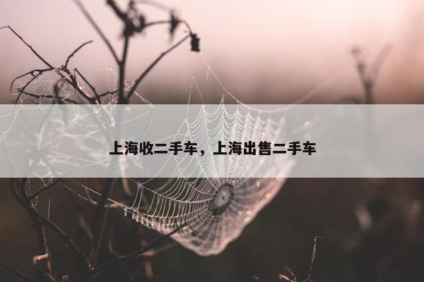 上海收二手车，上海出售二手车
