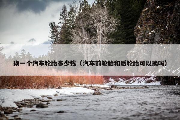 换一个汽车轮胎多少钱（汽车前轮胎和后轮胎可以换吗）