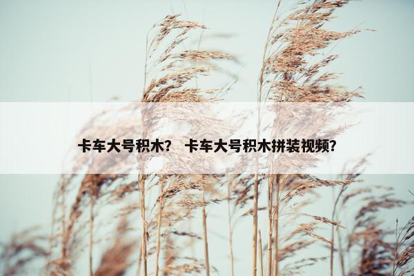 卡车大号积木？ 卡车大号积木拼装视频？