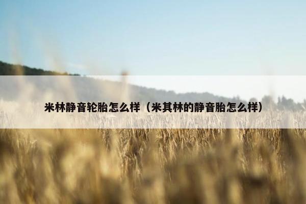 米林静音轮胎怎么样（米其林的静音胎怎么样）