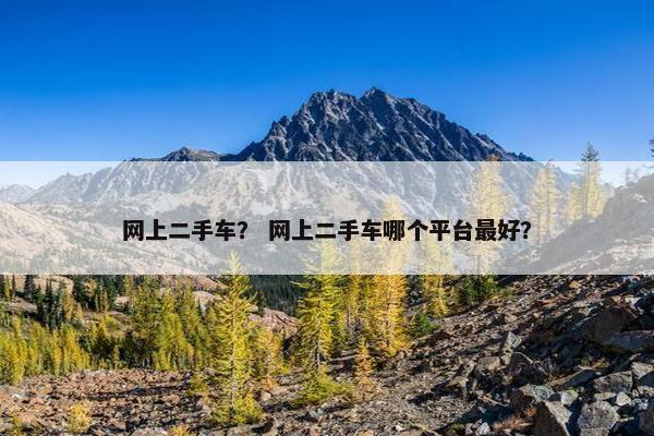 网上二手车？ 网上二手车哪个平台最好？
