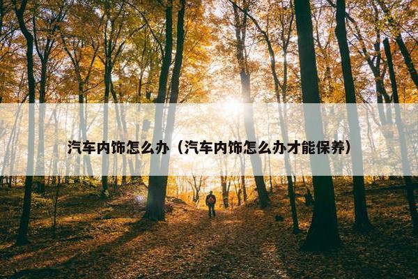 汽车内饰怎么办（汽车内饰怎么办才能保养）