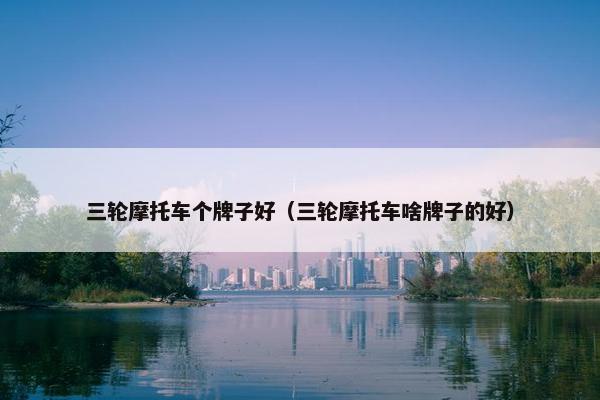 三轮摩托车个牌子好（三轮摩托车啥牌子的好）