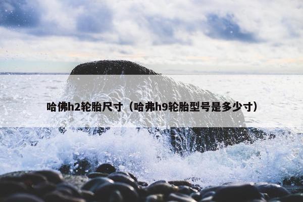 哈佛h2轮胎尺寸（哈弗h9轮胎型号是多少寸）
