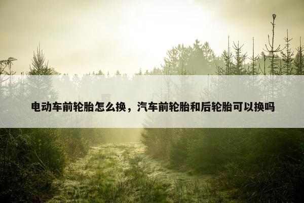 电动车前轮胎怎么换，汽车前轮胎和后轮胎可以换吗