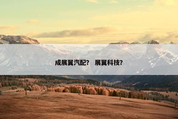 成展翼汽配？ 展翼科技？