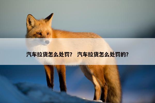 汽车拉货怎么处罚？ 汽车拉货怎么处罚的？
