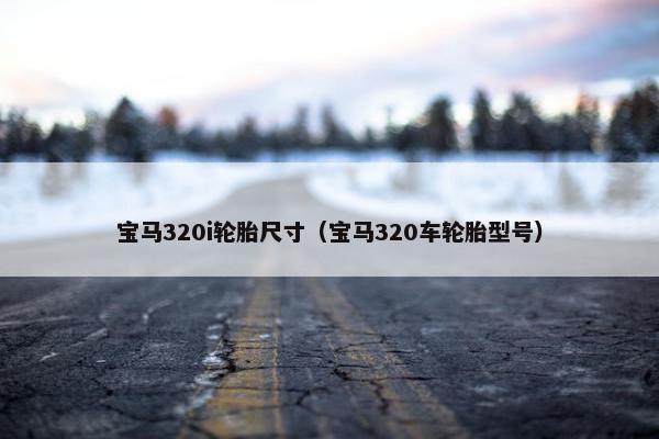 宝马320i轮胎尺寸（宝马320车轮胎型号）