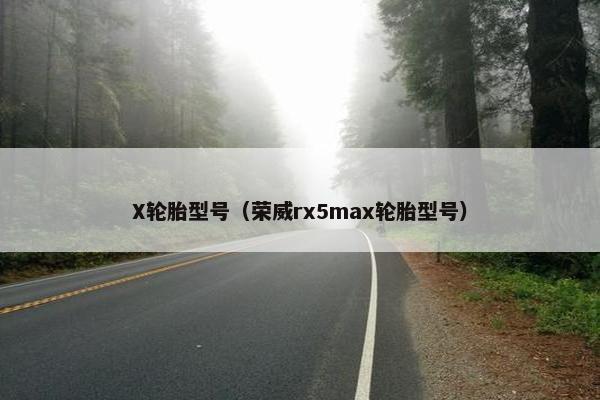 X轮胎型号（荣威rx5max轮胎型号）