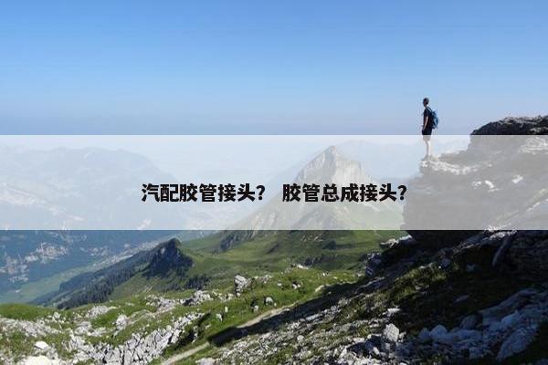 汽配胶管接头？ 胶管总成接头？