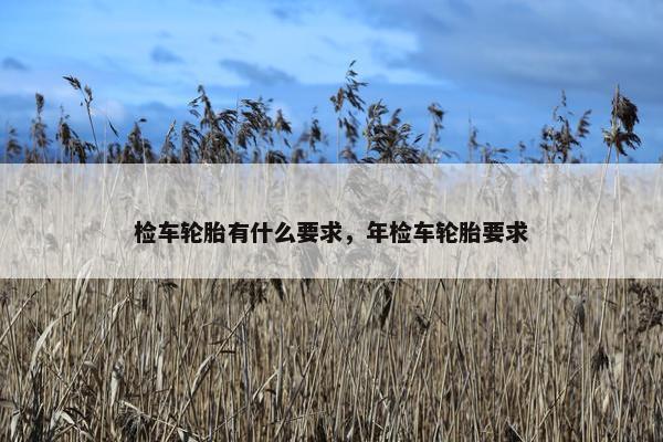 检车轮胎有什么要求，年检车轮胎要求